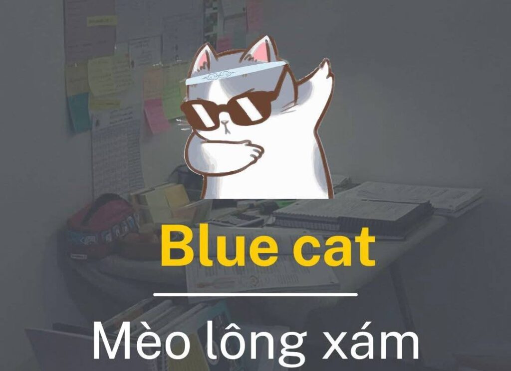 Khi tên gọi khác với màu sắc thực tế