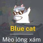 Khi tên gọi khác với màu sắc thực tế